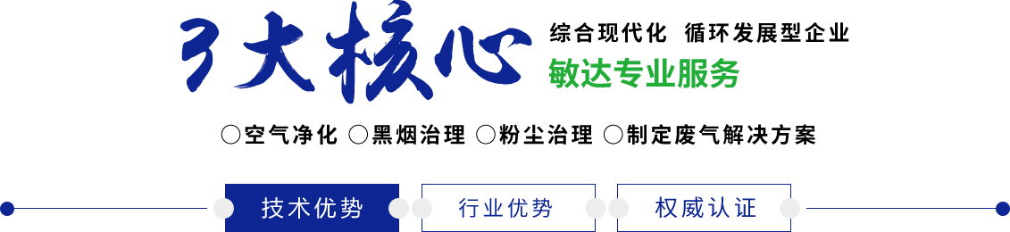 入肉屄直播敏达环保科技（嘉兴）有限公司